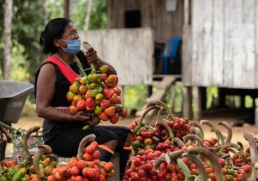 Género y cambio climático: una lucha doble