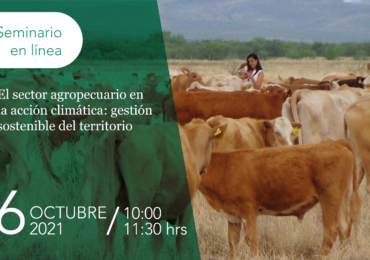 El sector agropecuario en la acción climática: gestión sostenible del territorio