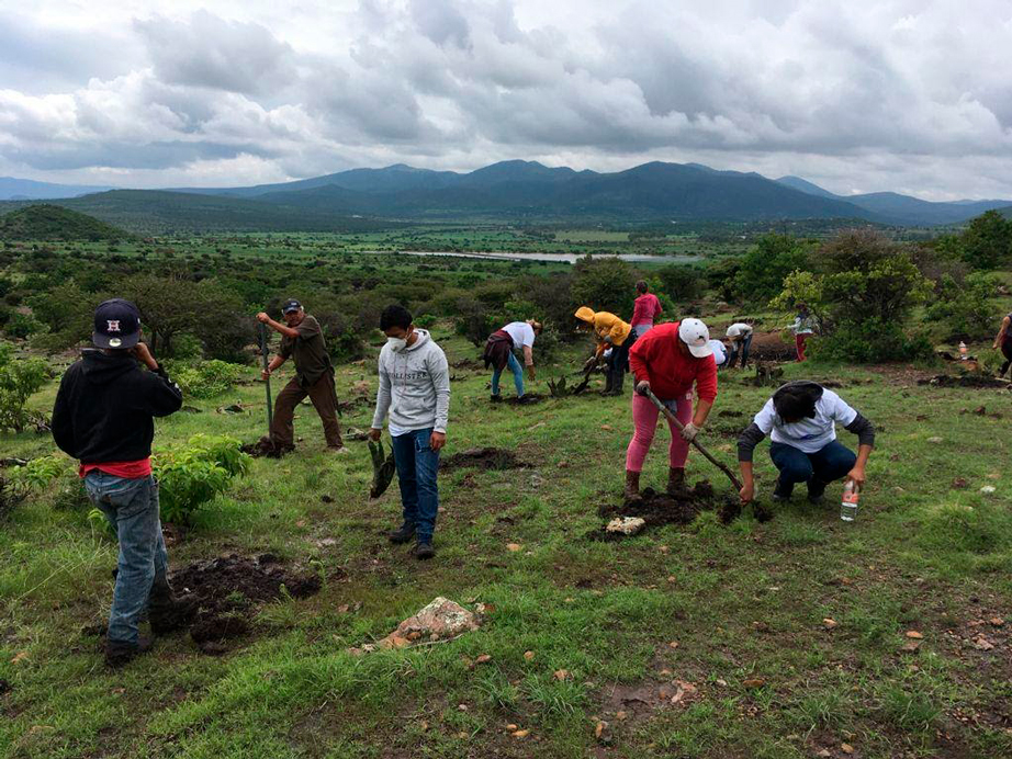 Programa de acción climática en San Miguel de Allende: un ejemplo de sinergias “Si hay acción, hay solución”