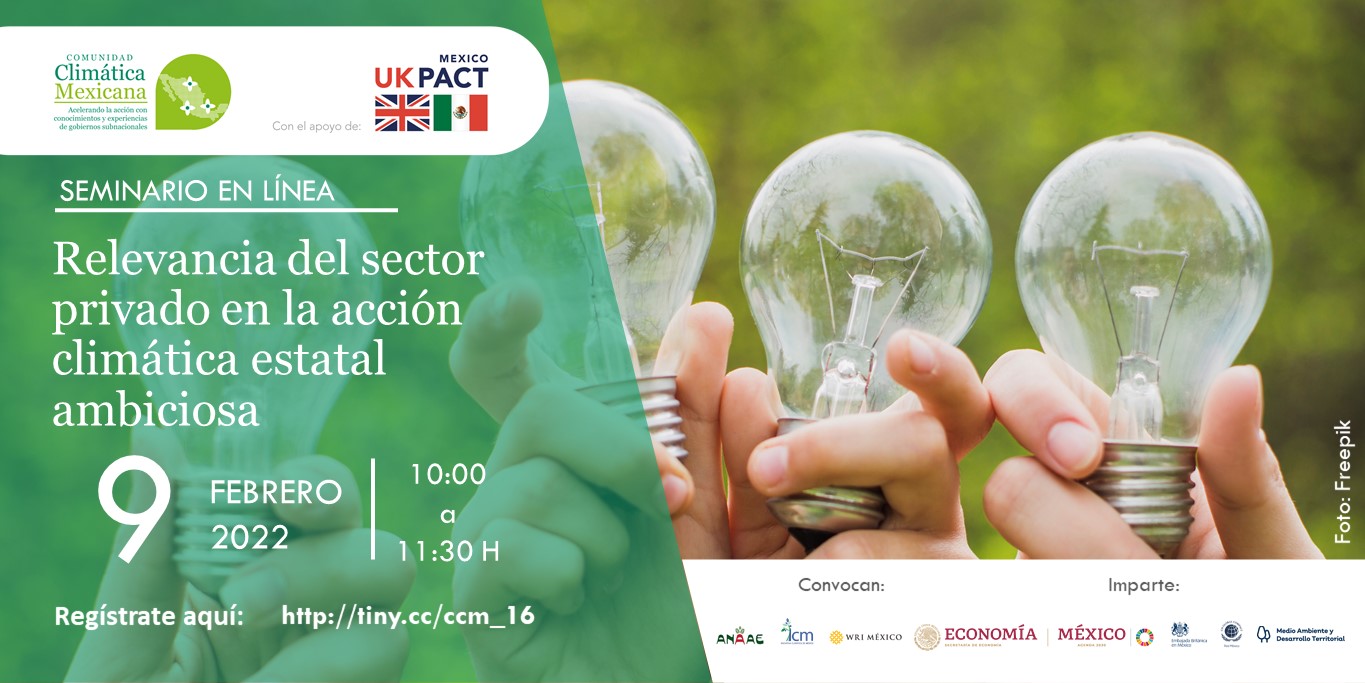 Relevancia del sector privado en la acción climática estatal ambiciosa