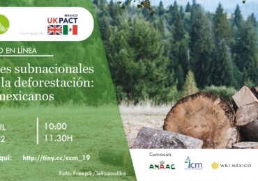 Acciones subnacionales contra la deforestación: casos mexicanos