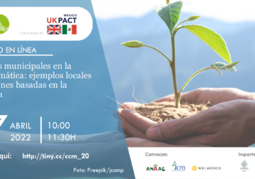 Gobiernos municipales en la acción climática: ejemplos locales de soluciones basadas en la naturaleza