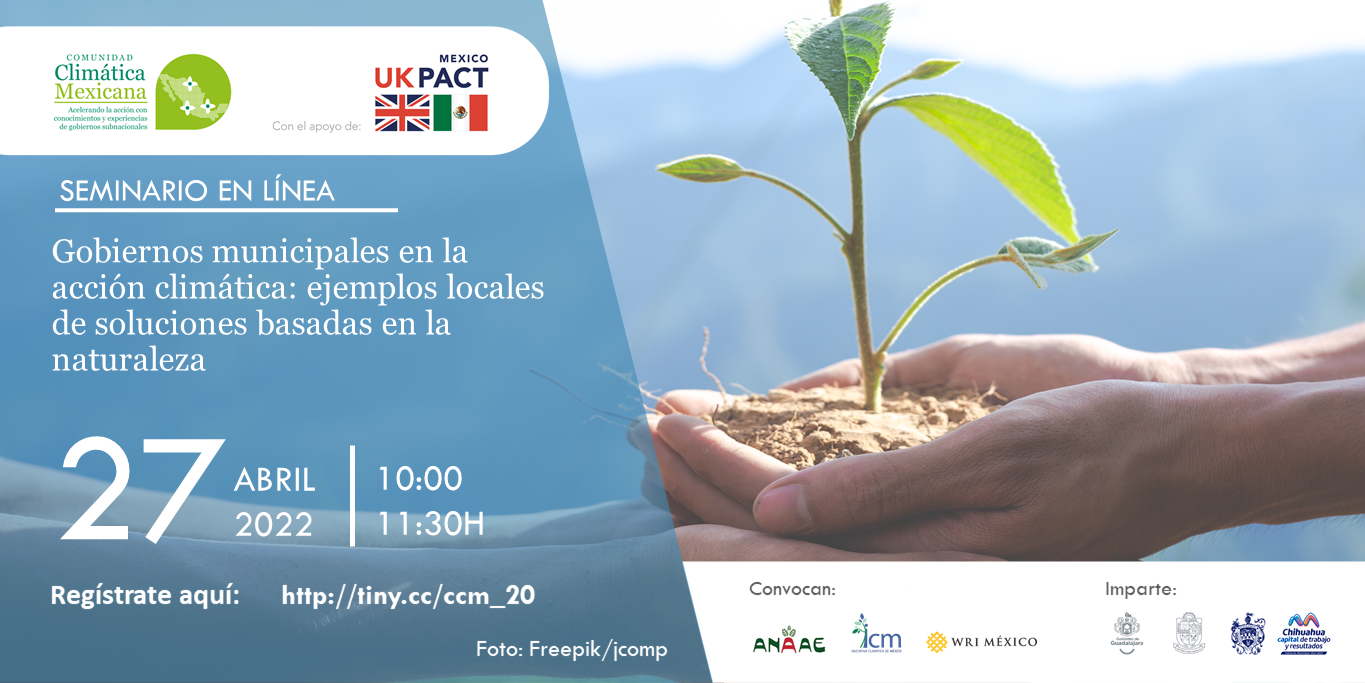 Gobiernos municipales en la acción climática: ejemplos locales de soluciones basadas en la naturaleza