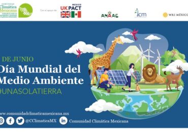 Una sola Tierra: por un planeta sostenible | Día Mundial del Medio Ambiente