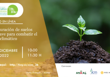 La restauración de suelos como clave para combatir el cambio climático