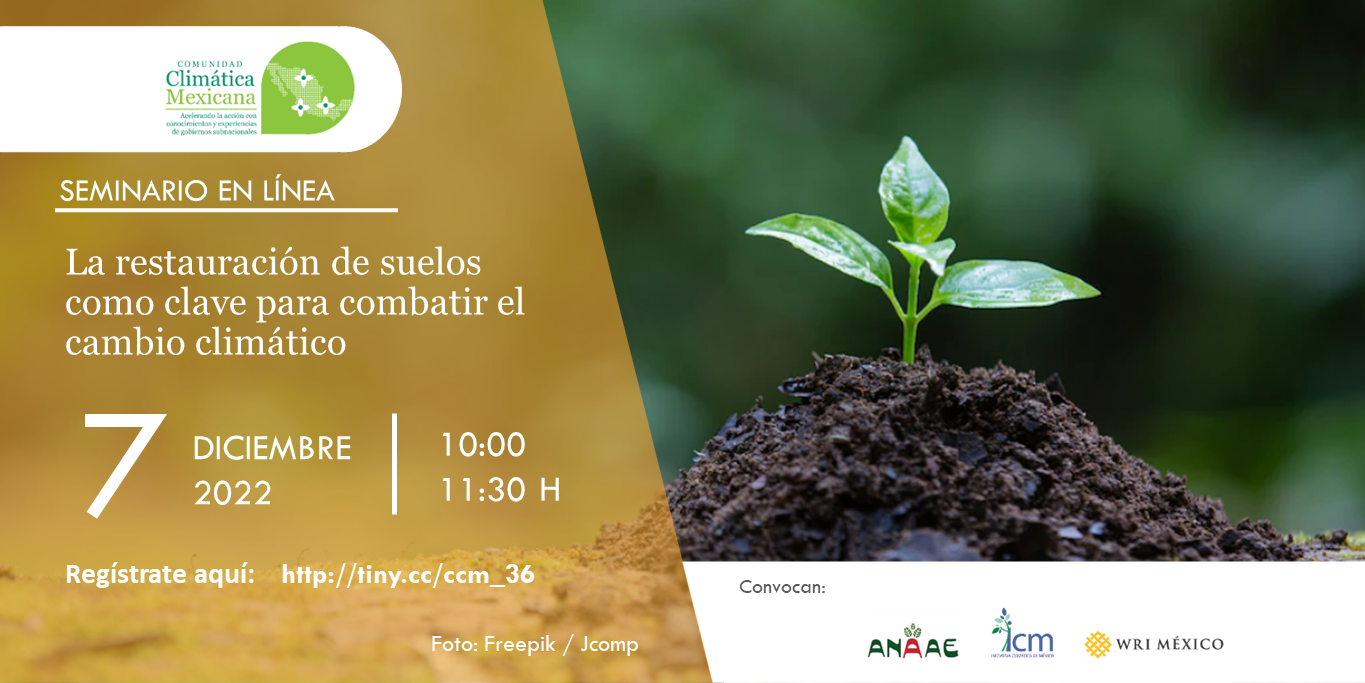 La restauración de suelos como clave para combatir el cambio climático