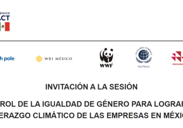 El rol de la igualdad de género para lograr el liderazgo climático de las empresas en México