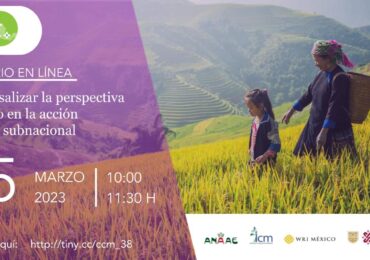 Transversalizar la perspectiva de género en la acción climática subnacional: avances y oportunidades