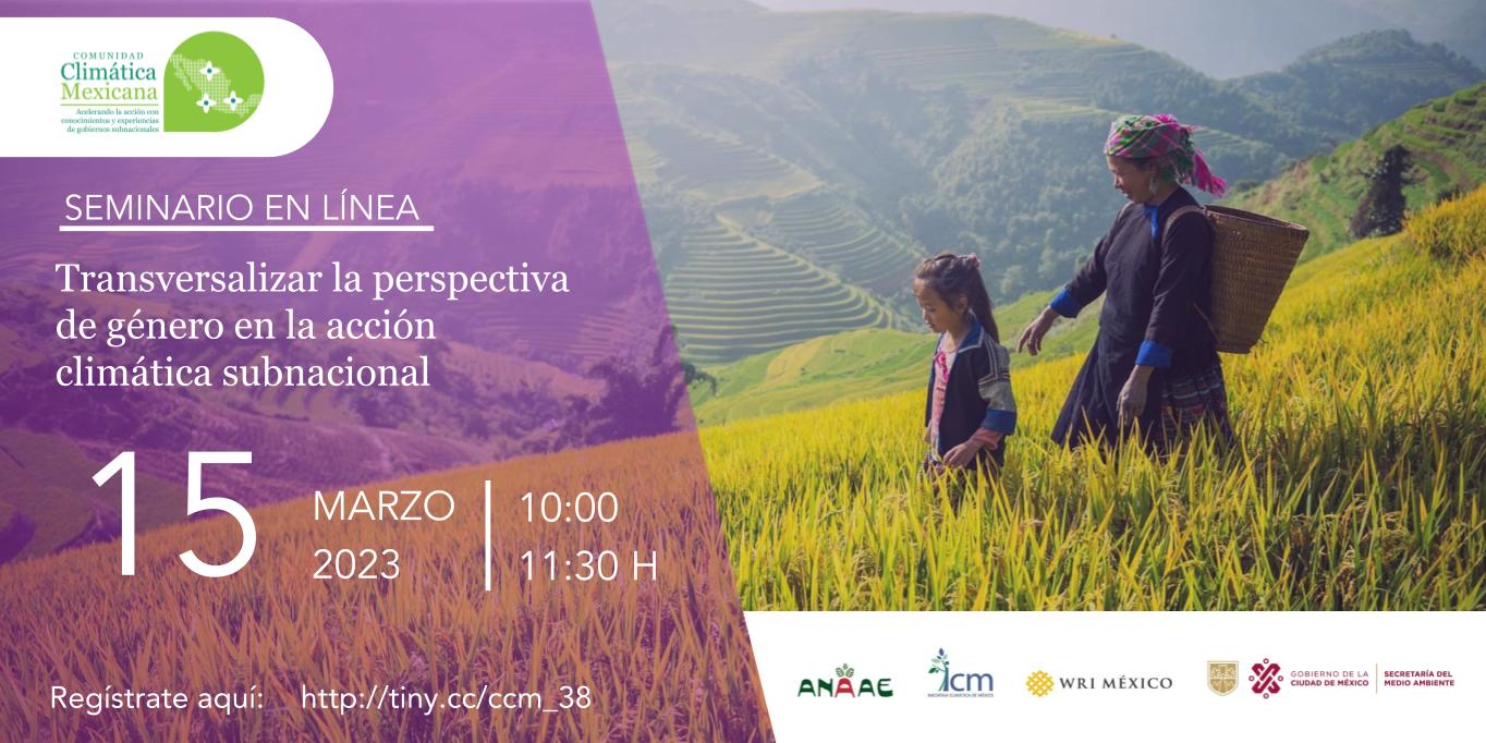 Transversalizar la perspectiva de género en la acción climática subnacional: avances y oportunidades