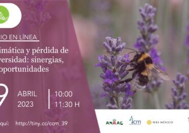 Crisis climática y pérdida de la biodiversidad: sinergias, vicios y oportunidades