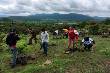 Programa de acción climática en San Miguel de Allende: un ejemplo de sinergias “Si hay acción, hay solución”